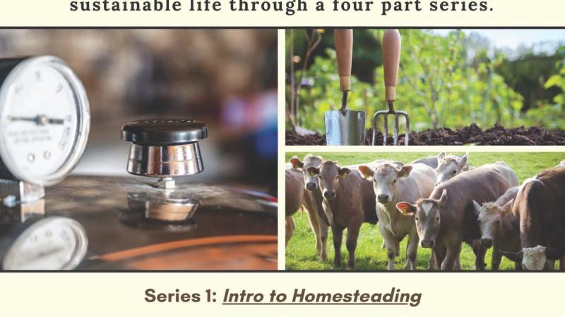 Harvesting Harmony  Series 1: Intro to Homesteading 